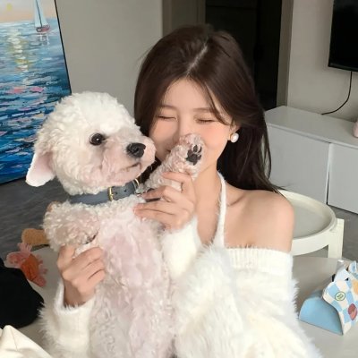 狗狗与你的故事