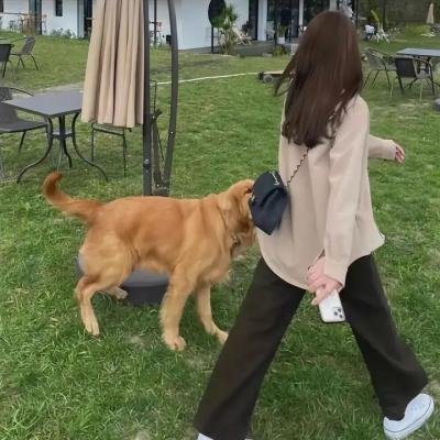 我命中注定的人